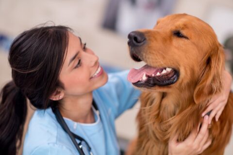 Mobile Veterinary Care Arbor View Animal Hospital